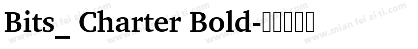 Bits_ Charter Bold字体转换